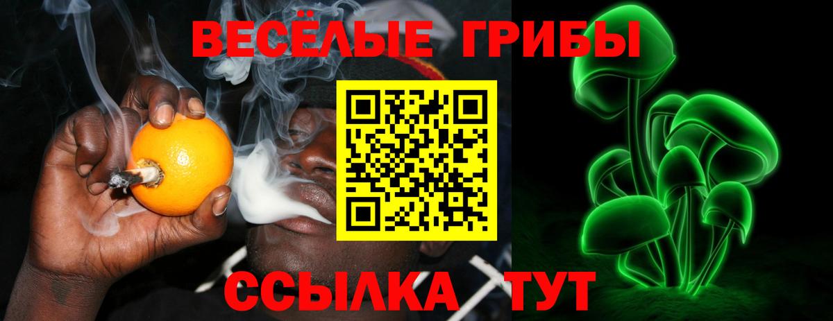 Аргун  Псилоцибиновые грибы Psilocybe  Вход с VPN 
